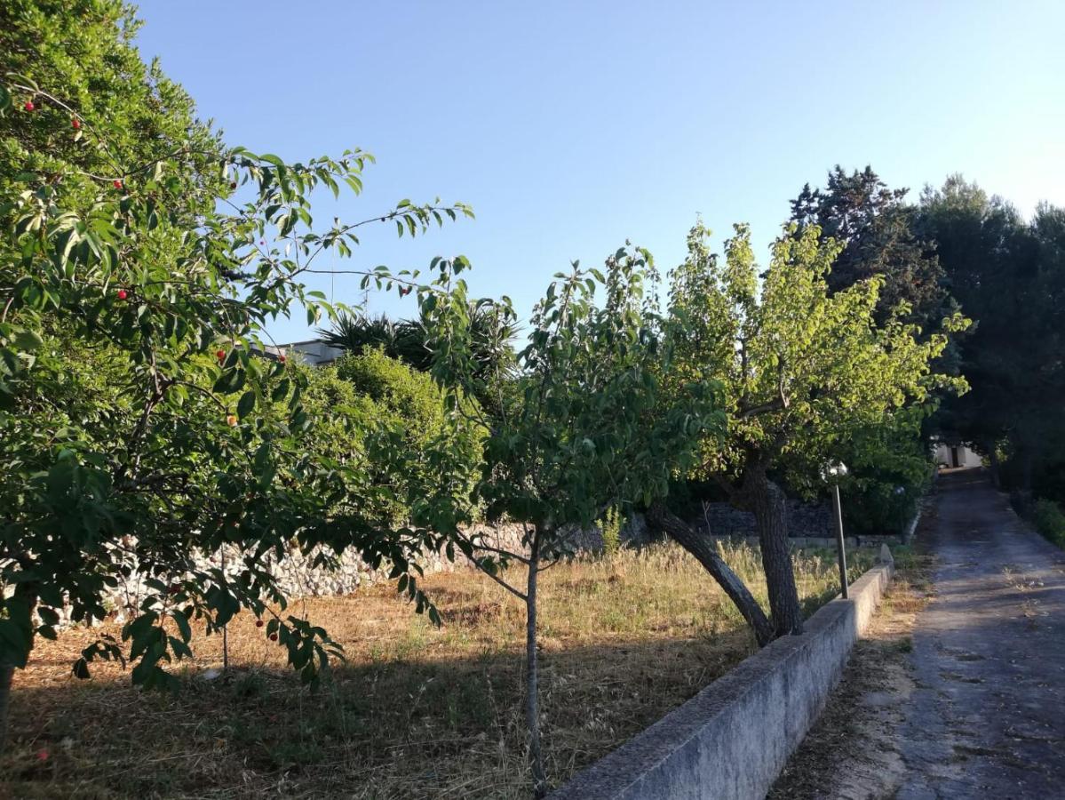 Ciao B&B Selva Di Fasano Exterior photo